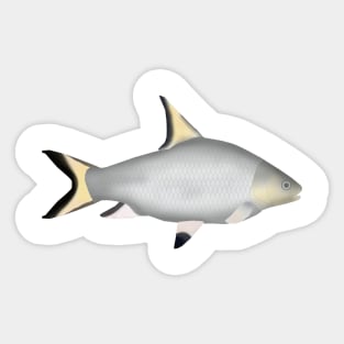 Bala Shark Sticker